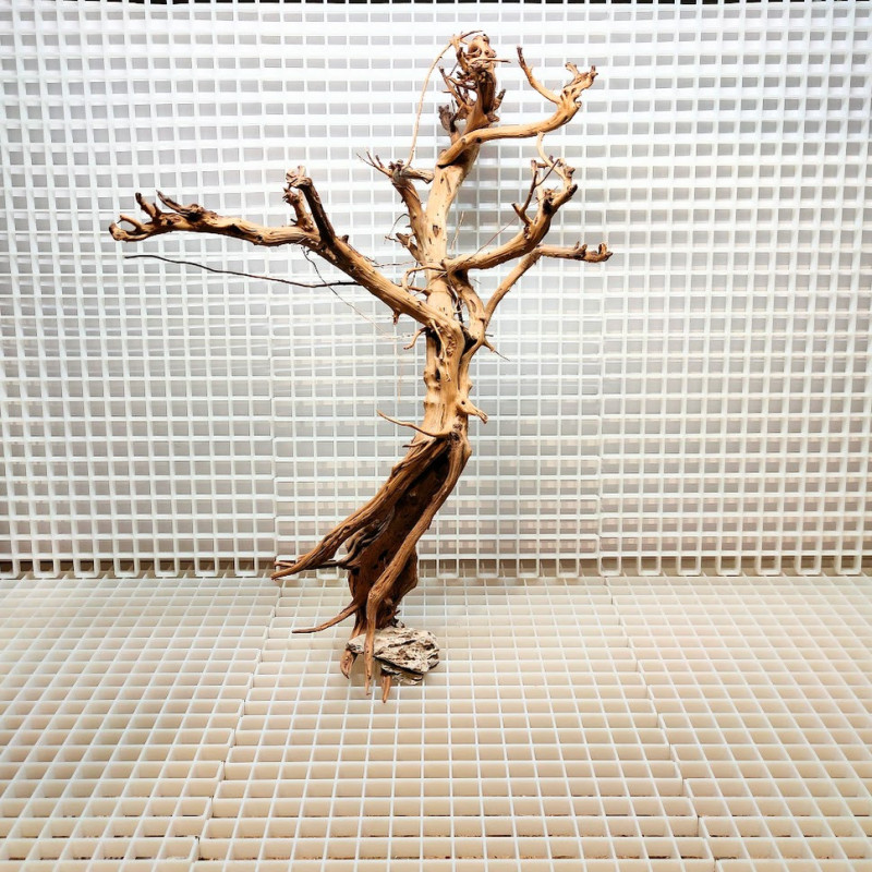 Madeira Bonsai Peça Nº3