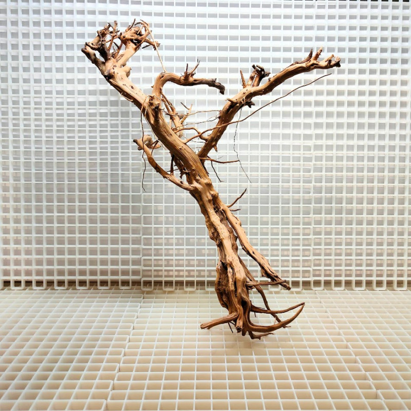 Madeira Bonsai Peça Nº3