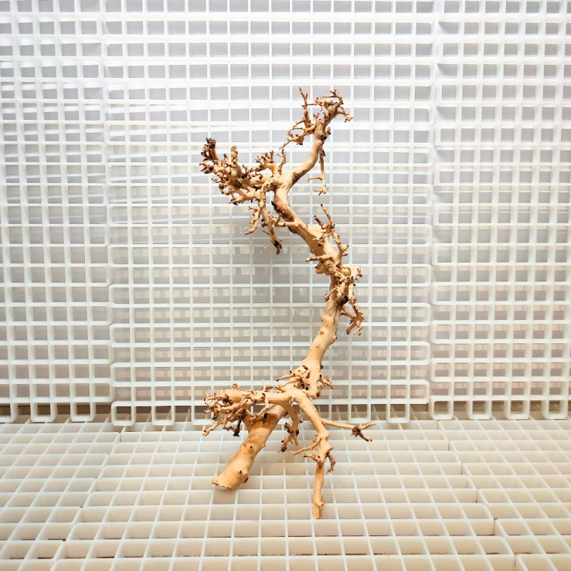 Scaping Twigs - Decoração Raíz de Madeira ST3