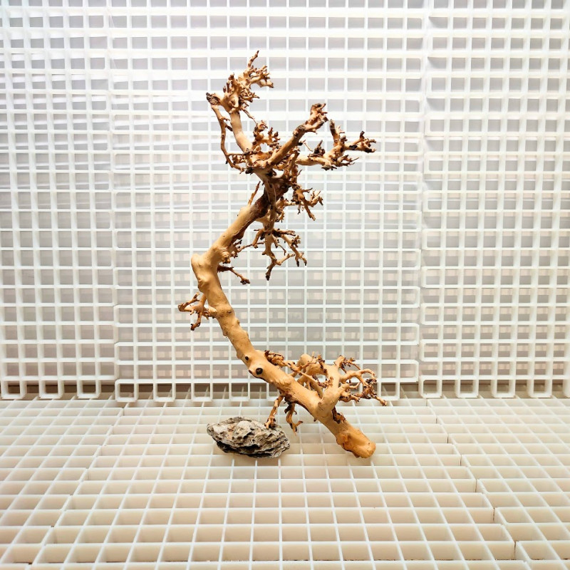 Scaping Twigs - Decoração Raíz de Madeira ST3