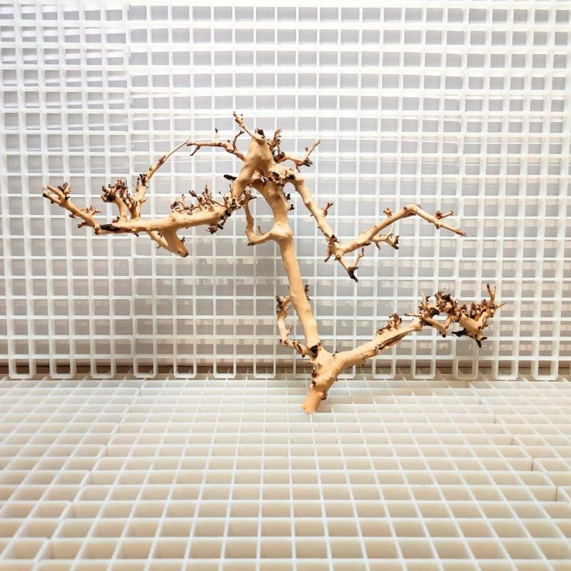 Scaping Twigs - Decoração Raíz de Madeira ST4