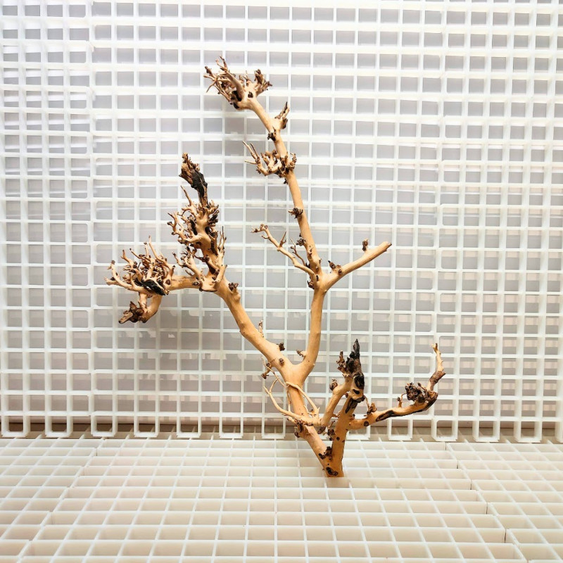 Scaping Twigs - Decoração Raíz de Madeira ST7