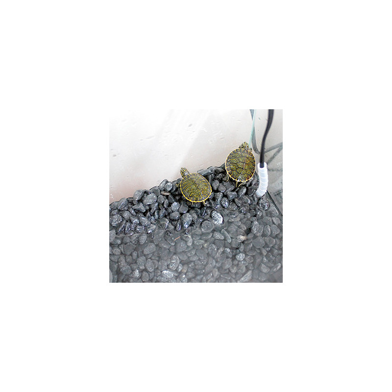 Sicce Jolly Preset Mini Aquecedor