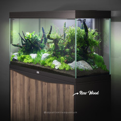 Aquário Splendid Móvel Nogal Bali - Aquatlantis Aquário Splendid Móvel Nogal Bali - Aquatlantis