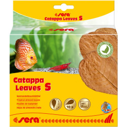 Sera Catappa Leaves S 10-15cm Sera Catappa Leaves S 10-15cm
