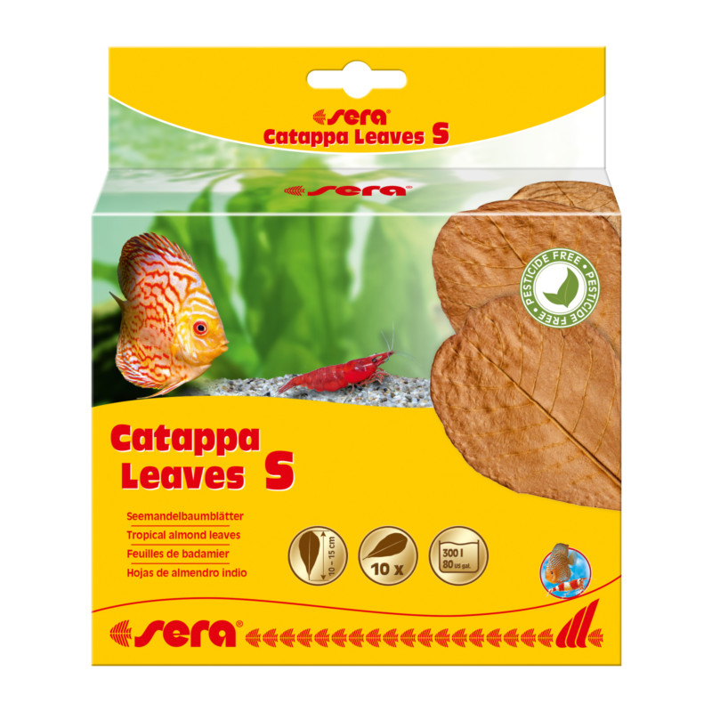 Sera Catappa Leaves S 10-15cm