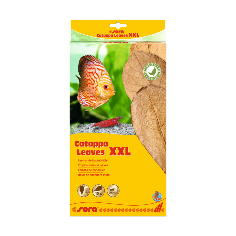 Sera Catappa Leaves XXL 30-35cm