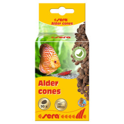 Sera Alder Cones Sera Alder Cones