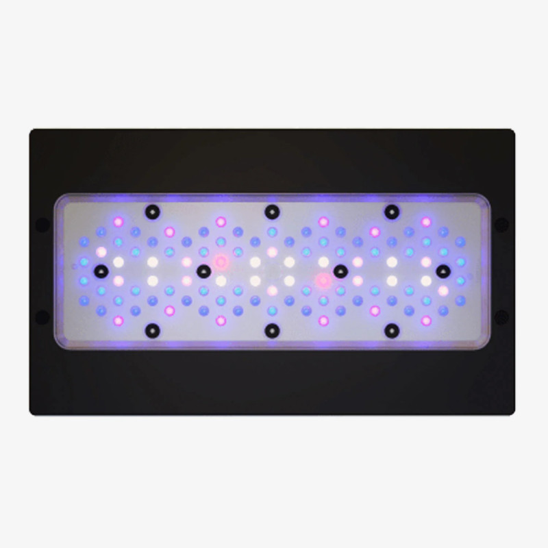 Radion XR30G5 BLUE LED Light