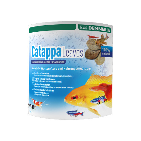 DENNERLE Catappa Leaves (folhas) DENNERLE Catappa Leaves (folhas)