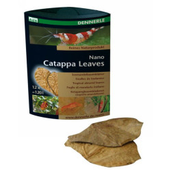 DENNERLE Nano Catappa Leaves (folhas) DENNERLE Nano Catappa Leaves (folhas)