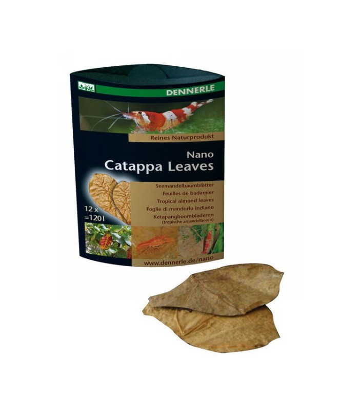 DENNERLE Nano Catappa Leaves (folhas)