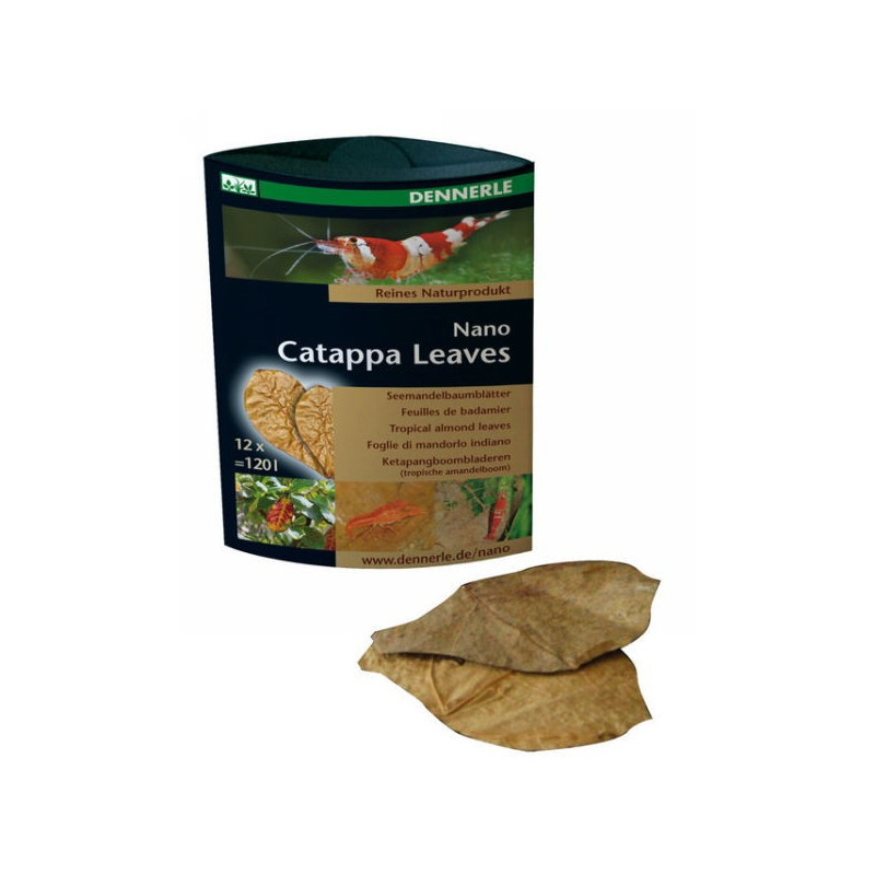 Hojas de DENNERLE Nano Catappa (hojas)