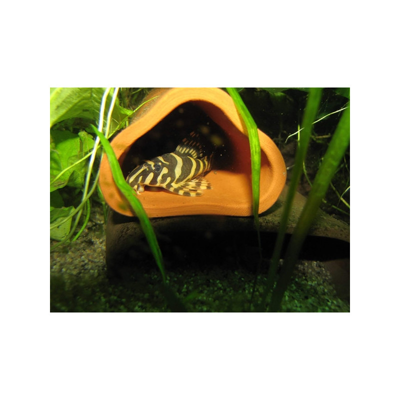 CeramicNature Cuevas Triangulares de Reproducción