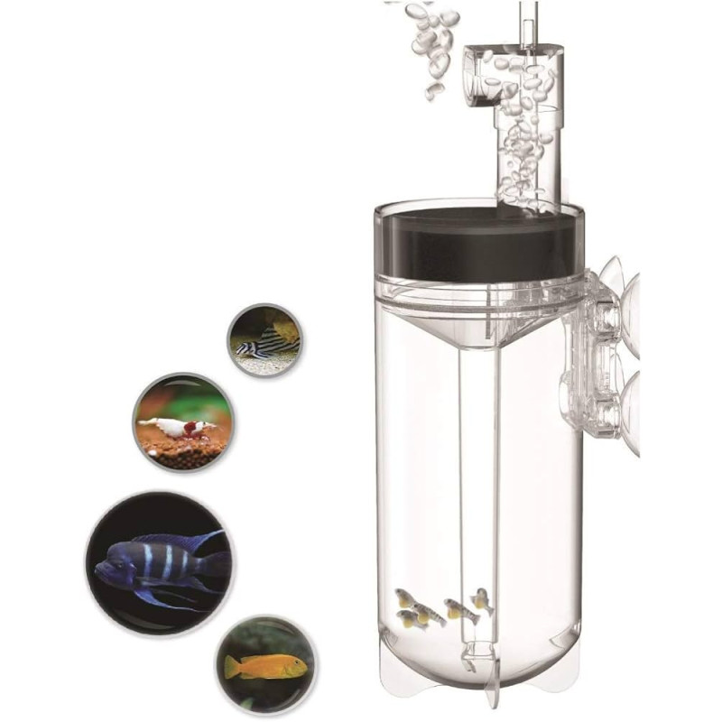 Ziss Aqua Egg Tumbler