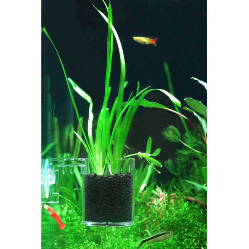 ZissAqua SF-0 0.13mm Feeding Cup / Plant Pot