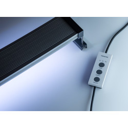 Twinstar A Line Twinstar A Line