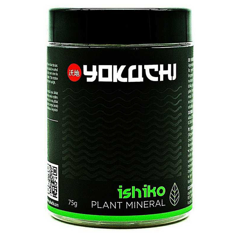 YOKUCHI Ishiko Plant Mineral YOKUCHI Ishiko Plant Mineral