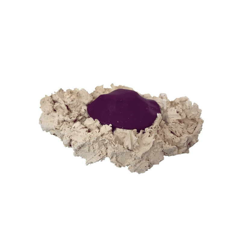 Coral Scaper - MICROBE-LIFT