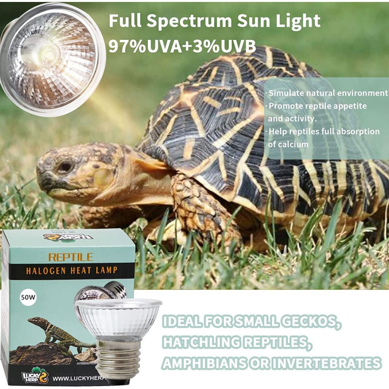 Lâmpada de Halogénio 50W E27 - Lucky Herp