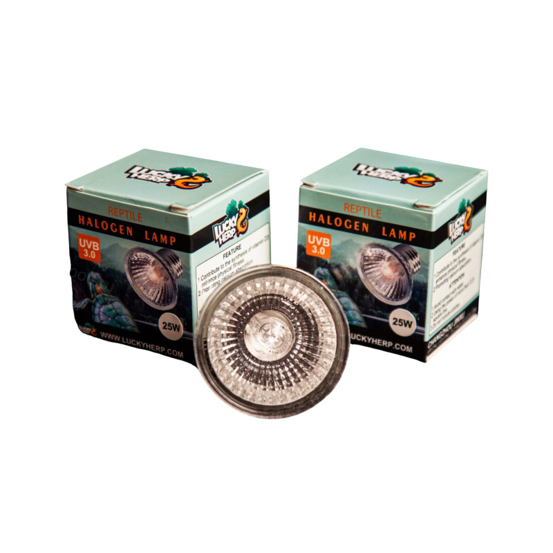 Lâmpada de Halogénio 50W E27 - Lucky Herp