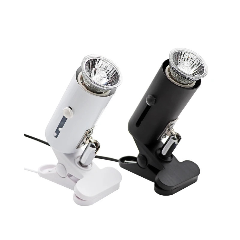 Conjunto de iluminação - Suporte + lâmpada - Coco