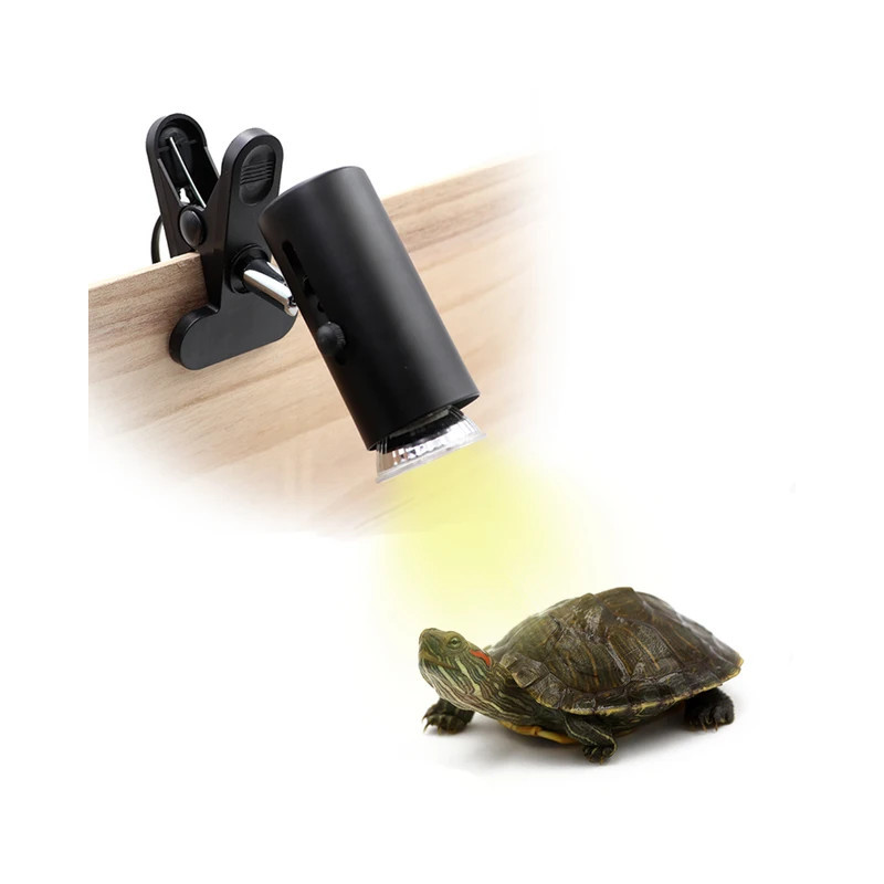 Conjunto de iluminação - Suporte + lâmpada - Coco