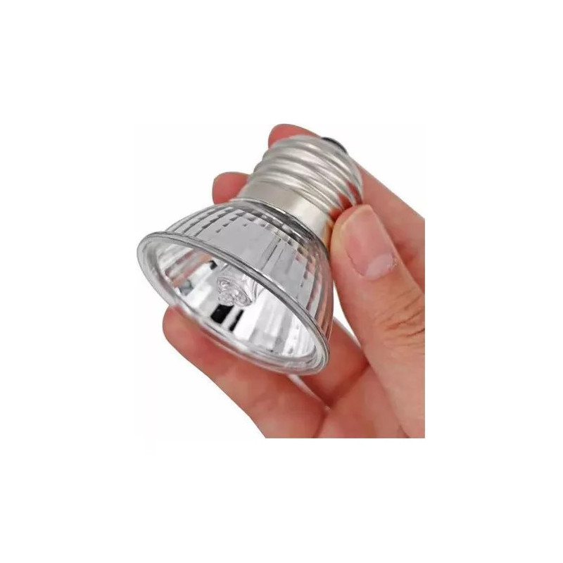 Conjunto de iluminação - Suporte + lâmpada - Coco