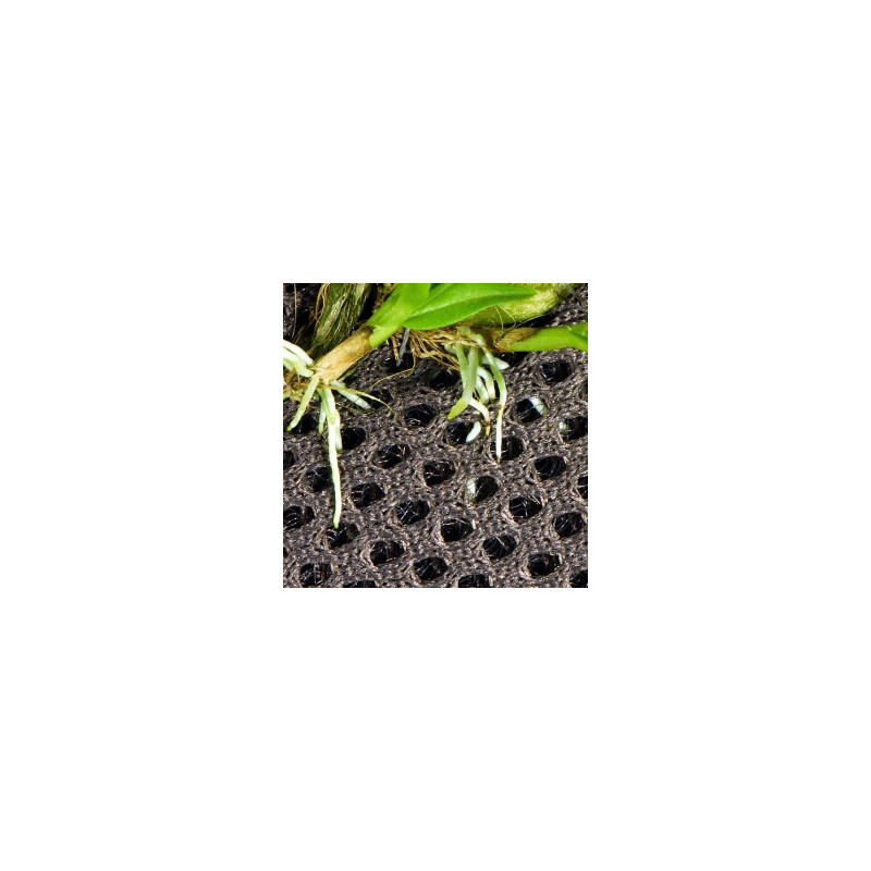 Malha para plantas Rainforest plant cotton - Reptizoo