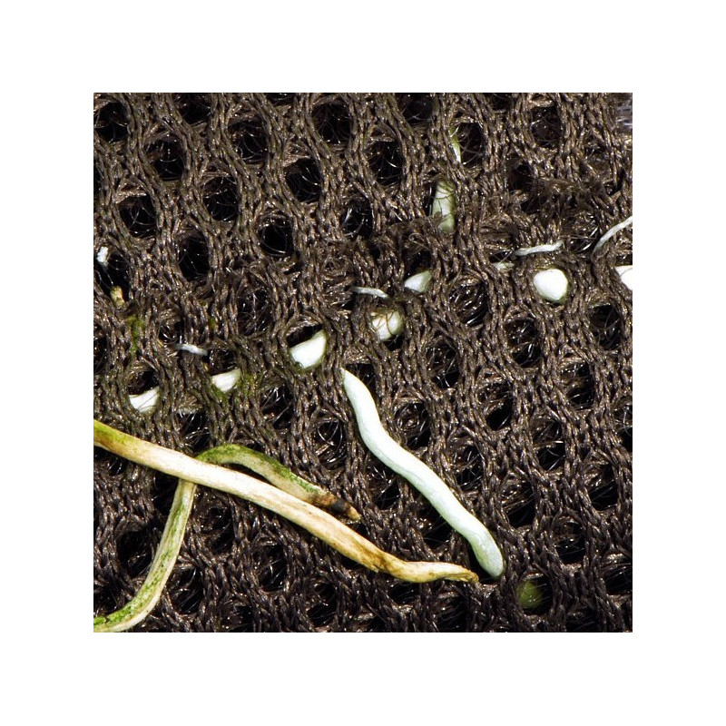 Malha para plantas Rainforest plant cotton - Reptizoo