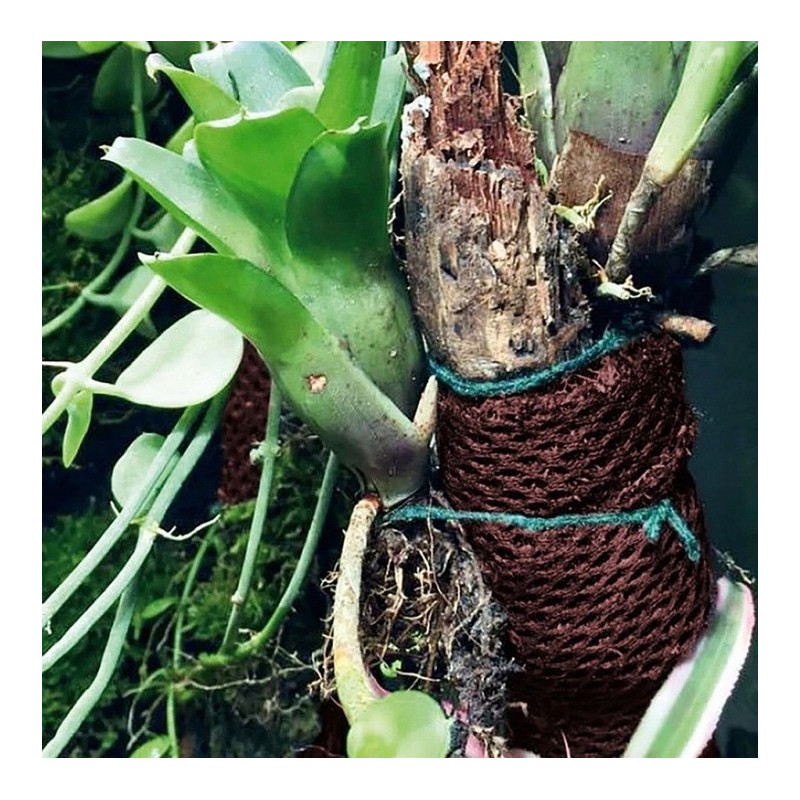 Malha para plantas Rainforest plant cotton - Reptizoo