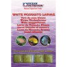 White Mosquito Larvae Blister 100g - Ocean Nutrition