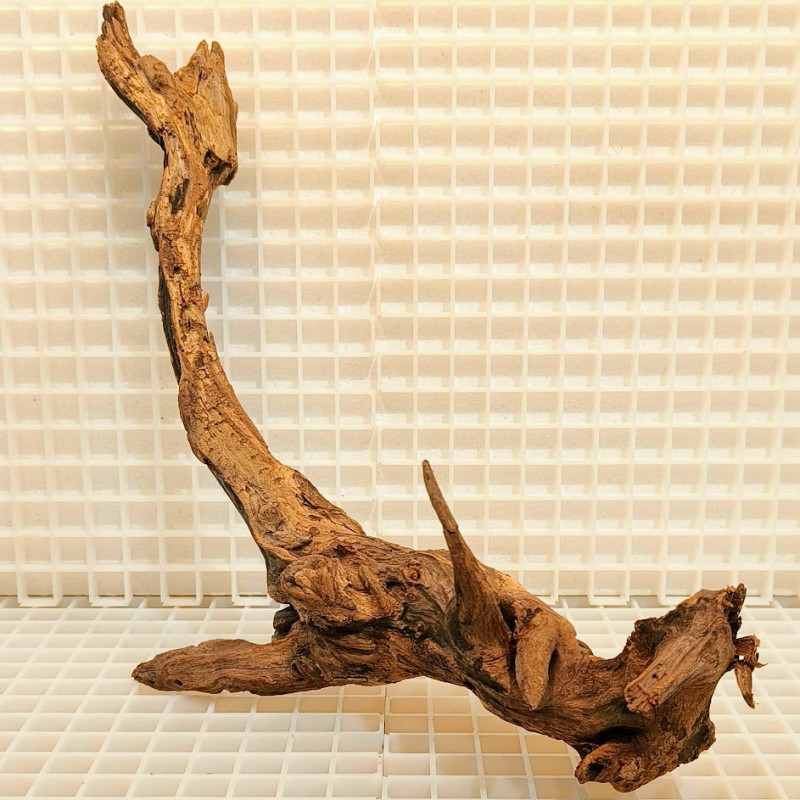 River Wood Peça Nº5