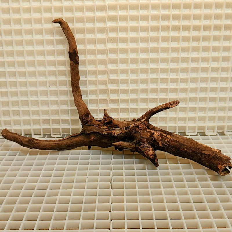 River Wood Peça Nº5