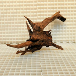 Bonsai para Aquário WYSIWYG Nº28 Bonsai para Aquário WYSIWYG Nº28
