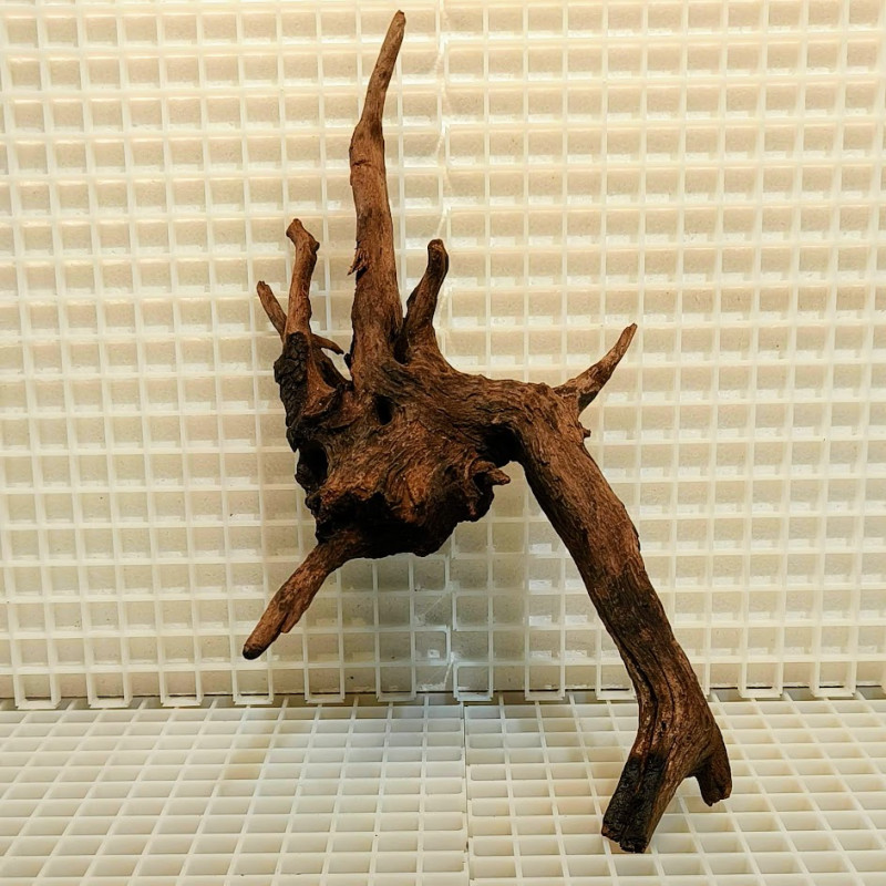 Bonsai para Aquário WYSIWYG Nº28