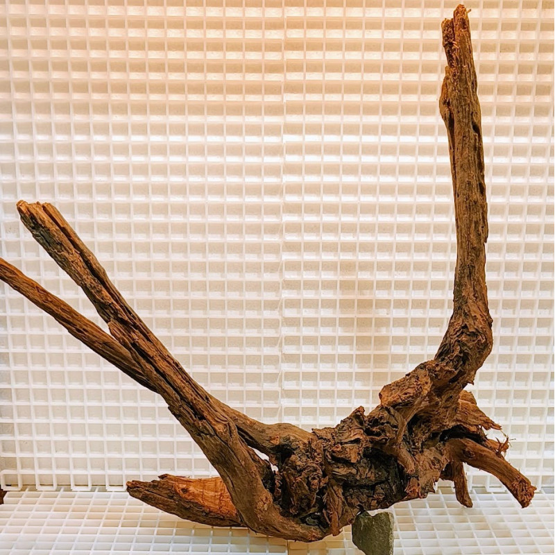 Bonsai para Aquário WYSIWYG Nº24