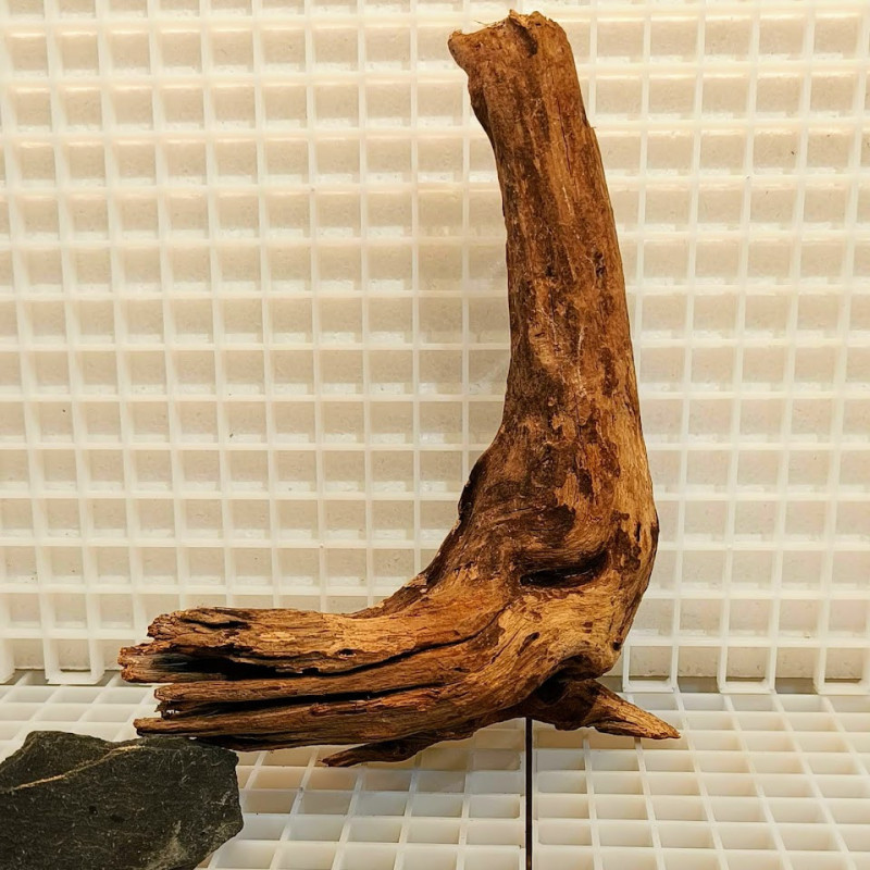 River Wood Peça Nº15 River Wood Peça Nº15