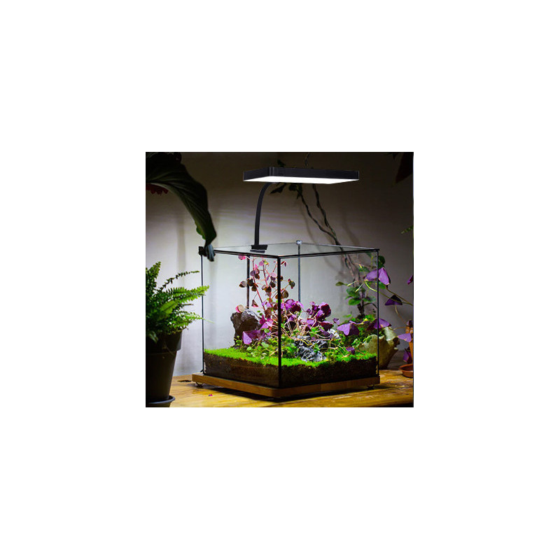 Week Aqua Mini 9 Pro