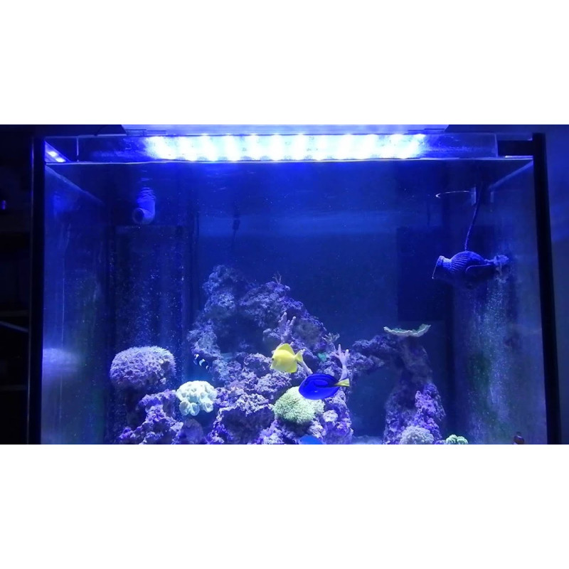 Mini Lumina 40 Marine - Blau Mini Lumina 40 Marine - Blau