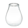 Chihiros Glass Pot Dew Shapped