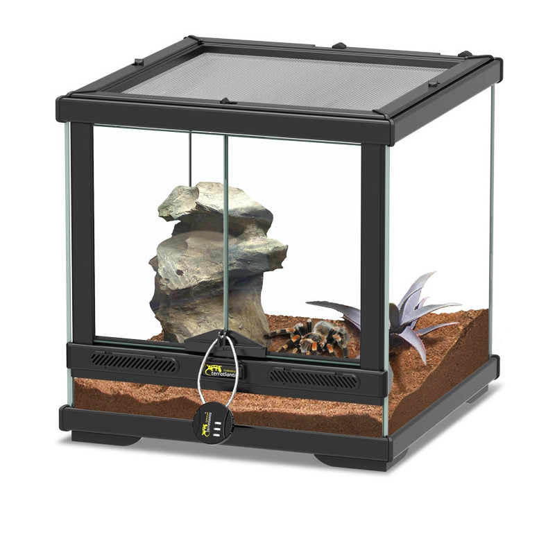 Terrário Smartline - Terratlantis