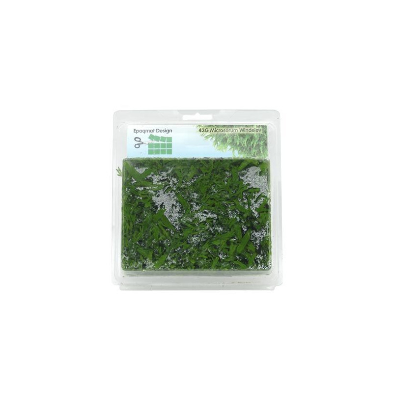 Microsorum hojas rizadas Epaqmat (43G)  16,5 x 13cm