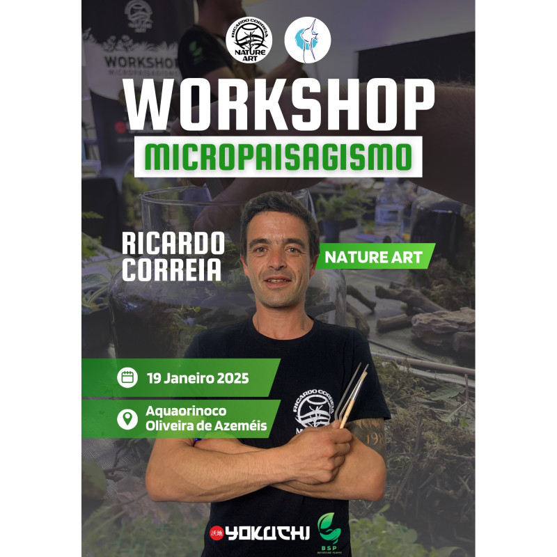 Ticket - Workshop January 19th with Ricardo Correia