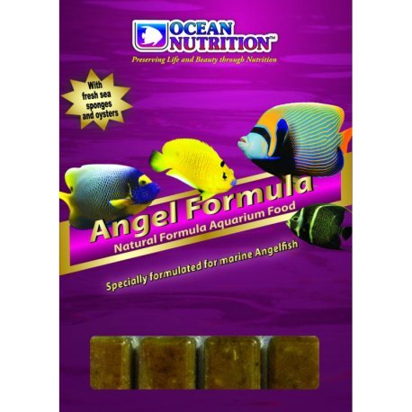 Angel Formula 100g - Ocean Nutrition