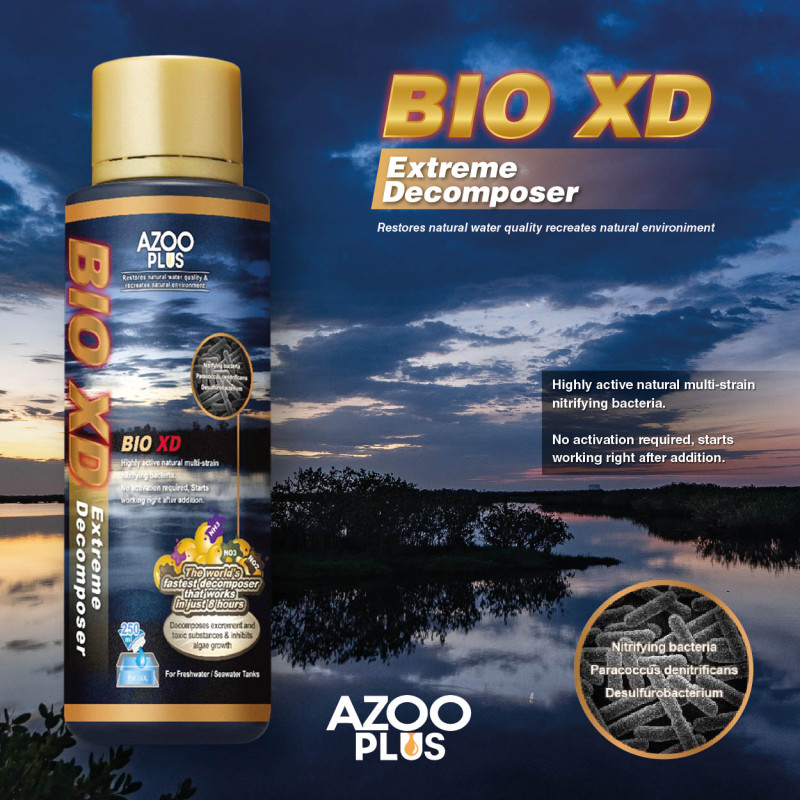 BIO XD (Extreme Decomposer) acondicionador biológico