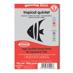 Gamma - Quinteto tropical Gamma - Quinteto tropical
