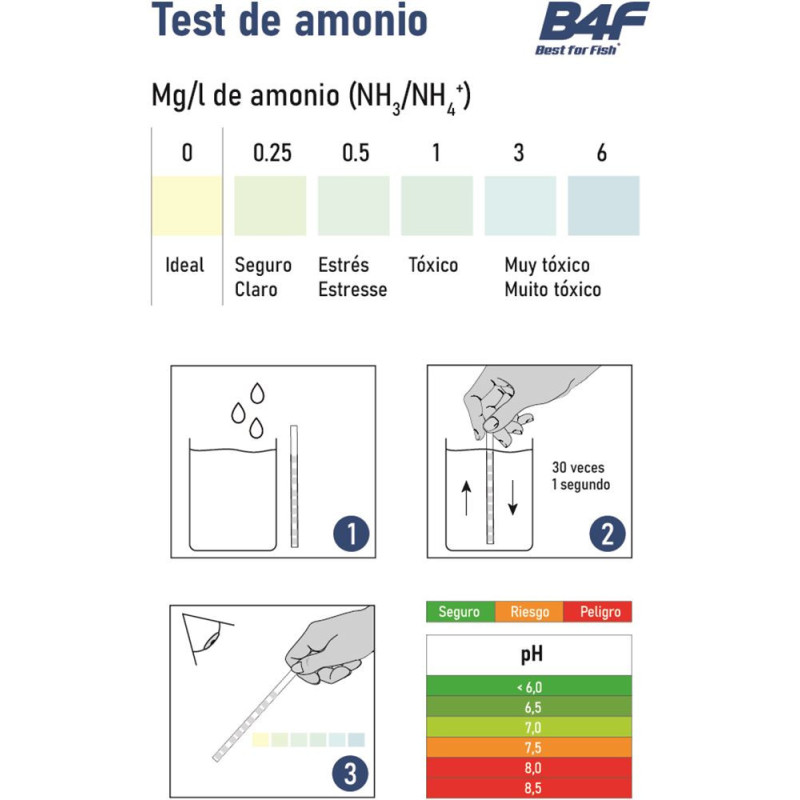 B4F Beginners Teste de Tiras