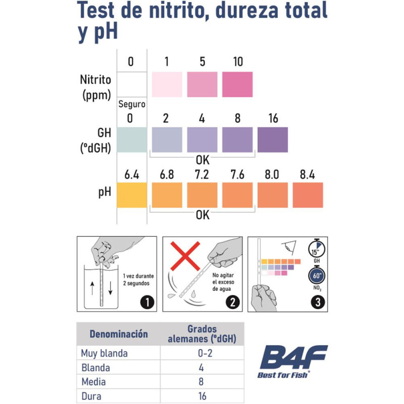 B4F Beginners Teste de Tiras
