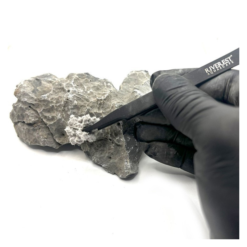 Fusion Compound Grey - Riverest